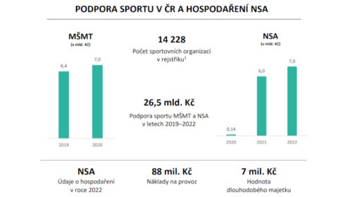 NSA: Miliardové dotace netransparentní a bez kontroly efektivity